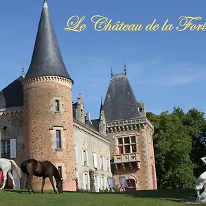 Bed & Breakfast Chateau De La Forie, Saint-Etienne-sur-Usson